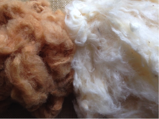 綿の手紡ぎ